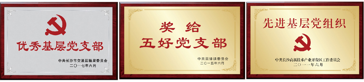 湖南望城縣雷鋒汽車(chē)運(yùn)輸有限公司,長(zhǎng)沙城市交通,校車(chē)運(yùn)營(yíng),安保服務(wù),新能源科技