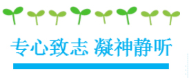 湖南望城縣雷鋒汽車運輸有限公司,長沙城市交通,校車運營,安保服務(wù),新能源科技