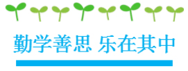 湖南望城縣雷鋒汽車運輸有限公司,長沙城市交通,校車運營,安保服務(wù),新能源科技