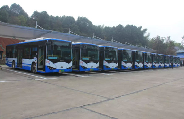湖南望城縣雷鋒汽車(chē)運(yùn)輸有限公司,長(zhǎng)沙城市交通,校車(chē)運(yùn)營(yíng),安保服務(wù),新能源科技